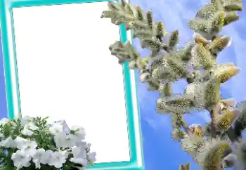 Photo effect from category Easter cards № 131205