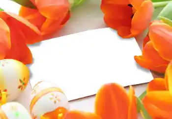 Photo effect from category Easter cards № 93170 Photo effect from category Easter cards № 93170