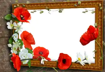 An inscription on the frame: Victory in Europe Day