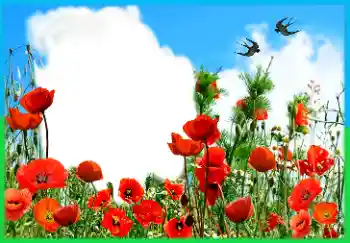 An inscription on the frame: Victory in Europe Day