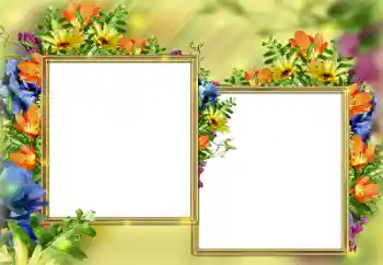 An inscription on the frame: Congratulations!