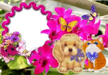 An inscription on the frame: Congratulations!