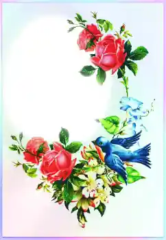 An inscription on the frame: Congratulations!