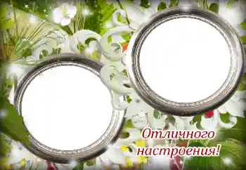 An inscription on the frame: Excellent mood!