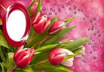 Photo effect from category Different holidays № 150549