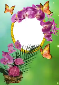 Photo effect from category Different holidays № 150615