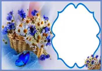 Photo effect from category Different holidays № 151810