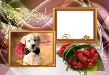 An inscription on the frame: Congratulations!