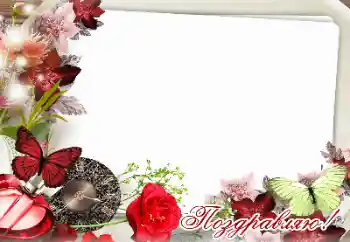 An inscription on the frame: Congratulations!