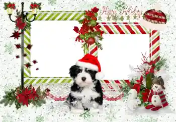 An inscription on the frame: Happy Holidays