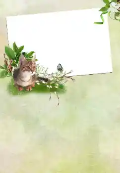 Photo effect from category Different holidays № 167762