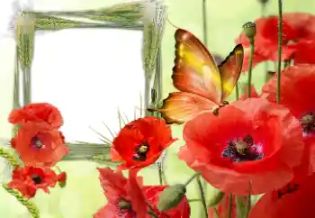 An inscription on the frame: Victory in Europe Day