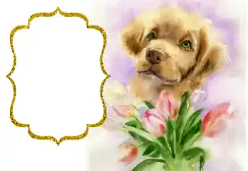 Photo effect from category Different holidays № 190529