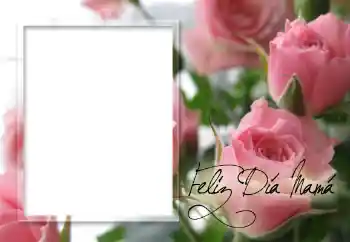 An inscription on the frame: Happy Mothers Day!