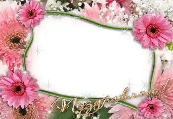 An inscription on the frame: Congratulations!