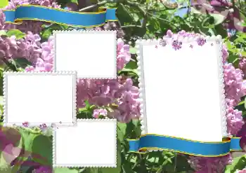 Photo effect from category Different for school № 205360 Photo effect from category Different for school № 205360