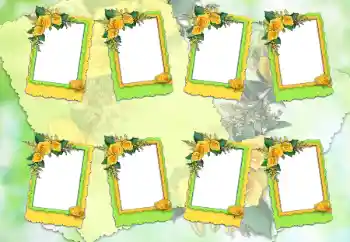 Photo effect from category Different for school № 67342