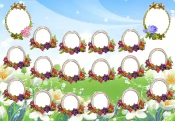 Photo effect from category Different for school № 68470