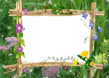 Photo effect from category Summer № 1001