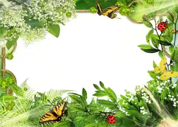 Photo effect from category Summer № 1109