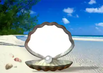 Photo effect from category Summer № 1111