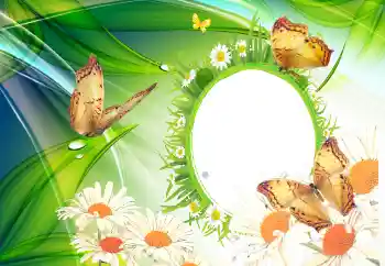 Photo effect from category Summer № 112110 Photo effect from category Summer № 112110