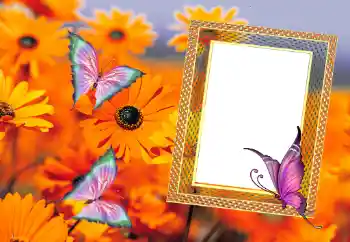 Photo effect from category Summer № 112111 Photo effect from category Summer № 112111