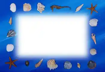 Photo effect from category Summer № 113121 Photo effect from category Summer № 113121