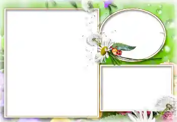 Photo effect from category Summer № 114273 Photo effect from category Summer № 114273