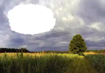 Photo effect from category Summer № 114385 Photo effect from category Summer № 114385