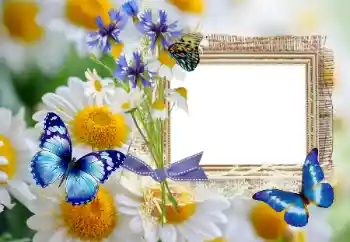 Photo effect from category Summer № 114393 Photo effect from category Summer № 114393