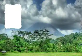 Photo effect from category Summer № 114456 Photo effect from category Summer № 114456