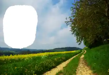 Photo effect from category Summer № 114551