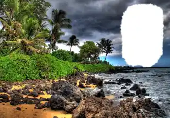 Photo effect from category Summer № 114573