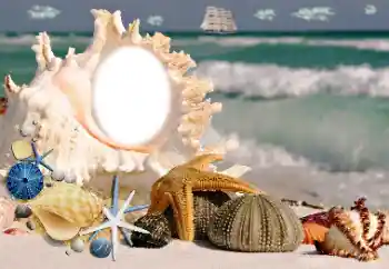 Photo effect from category Summer № 115806