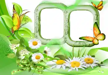 Photo effect from category Summer № 115844 Photo effect from category Summer № 115844