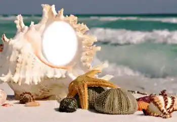 Photo effect from category Summer № 116085 Photo effect from category Summer № 116085