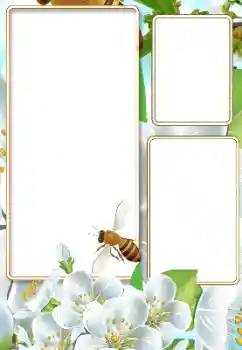 Photo effect from category Summer № 116125 Photo effect from category Summer № 116125