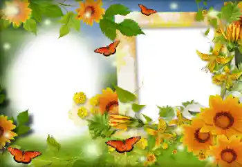 Photo effect from category Summer № 116126 Photo effect from category Summer № 116126