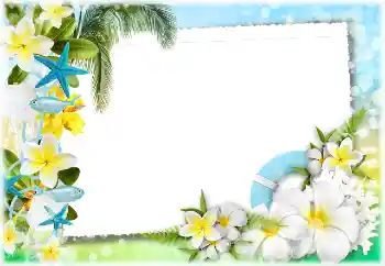 Photo effect from category Summer № 117734 Photo effect from category Summer № 117734