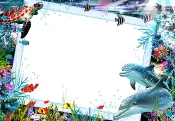 Photo effect from category Summer № 121106 Photo effect from category Summer № 121106