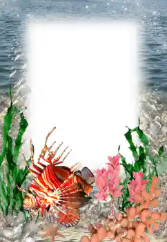 Photo effect from category Summer № 121109 Photo effect from category Summer № 121109