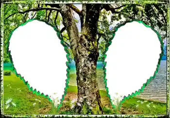 Photo effect from category Summer № 123182 Photo effect from category Summer № 123182