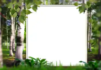 Photo effect from category Summer № 128567 Photo effect from category Summer № 128567