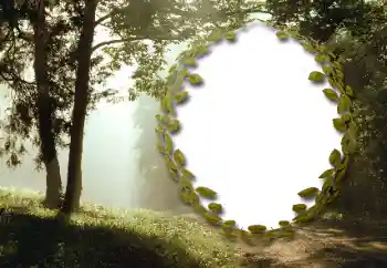 Photo effect from category Summer № 130985 Photo effect from category Summer № 130985