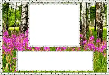 Photo effect from category Summer № 131011 Photo effect from category Summer № 131011