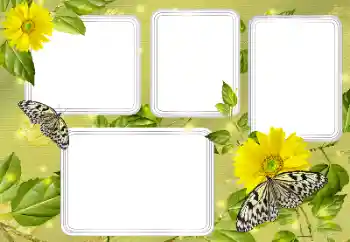 Photo effect from category Summer № 131450 Photo effect from category Summer № 131450