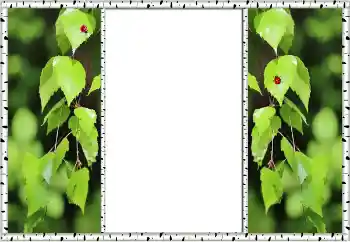 Photo effect from category Summer № 132875 Photo effect from category Summer № 132875