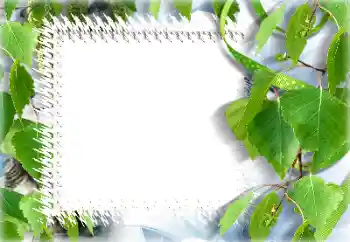 Photo effect from category Summer № 132911