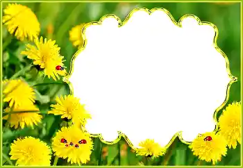 Photo effect from category Summer № 132994